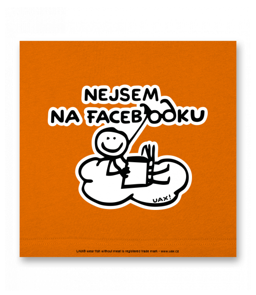 OBRAZ DO INTERIÉRU 110x110cm