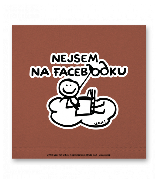 OBRAZ DO INTERIÉRU 110x110cm