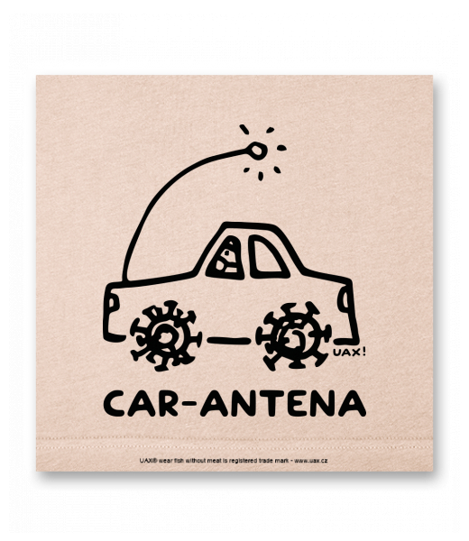 OBRAZ DO INTERIÉRU 110x110cm