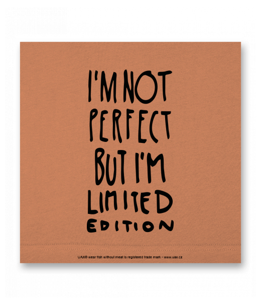 OBRAZ DO INTERIÉRU 110x110cm