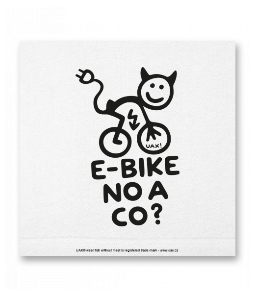 OBRAZ DO INTERIÉRU 110x110cm