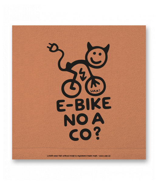 OBRAZ DO INTERIÉRU 110x110cm