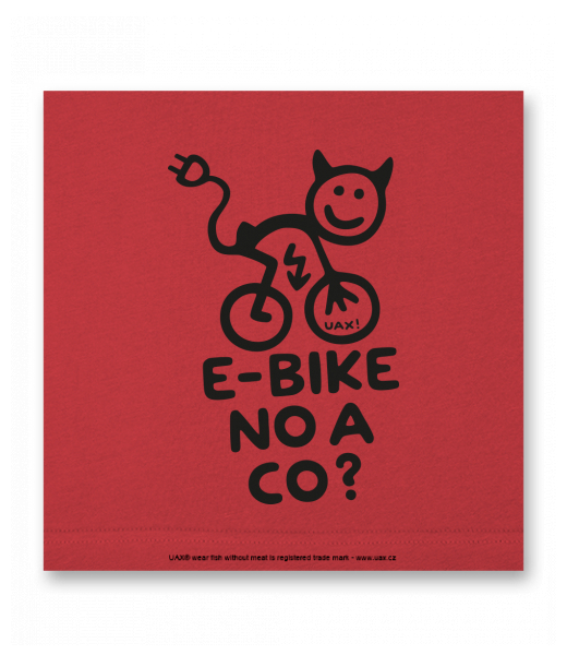 OBRAZ DO INTERIÉRU 110x110cm