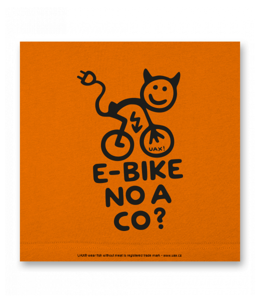 OBRAZ DO INTERIÉRU 110x110cm