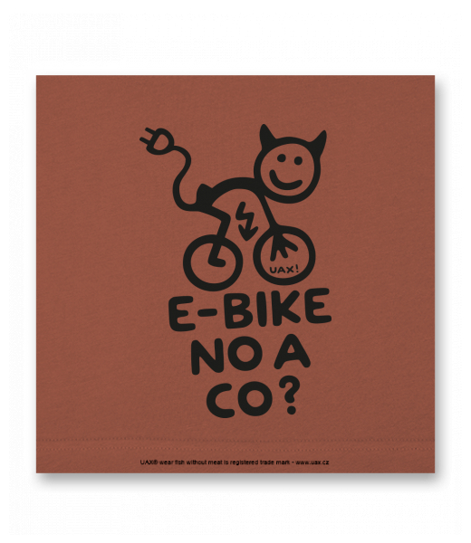 OBRAZ DO INTERIÉRU 110x110cm