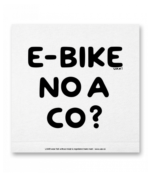 OBRAZ DO INTERIÉRU 110x110cm