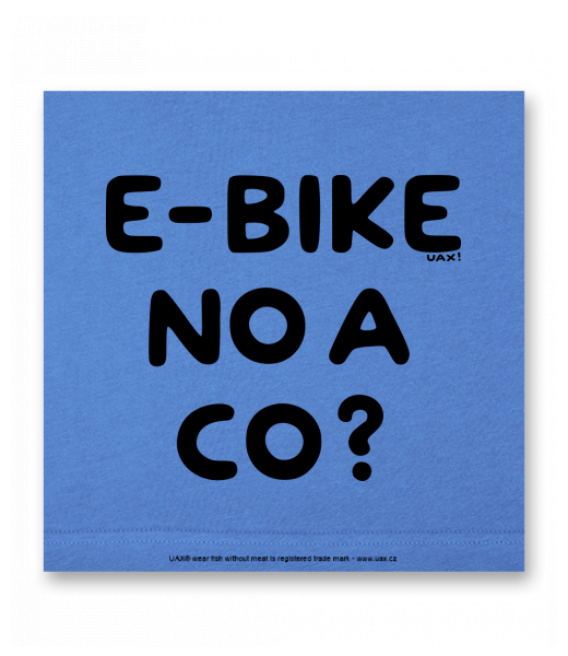 OBRAZ DO INTERIÉRU 110x110cm