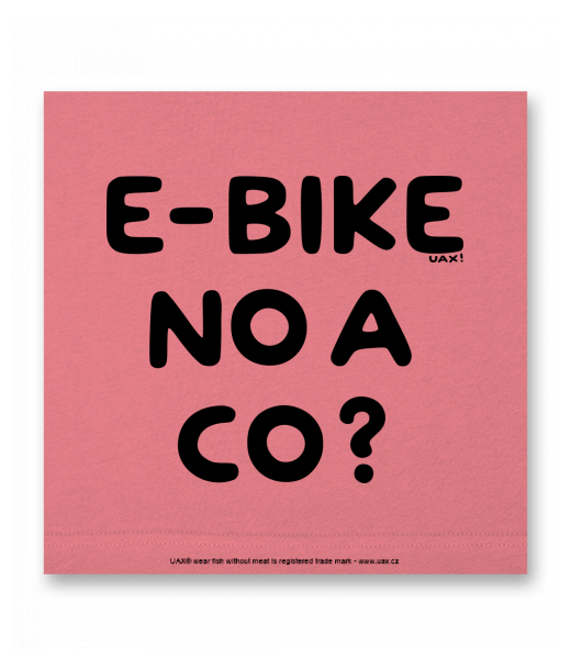 OBRAZ DO INTERIÉRU 110x110cm