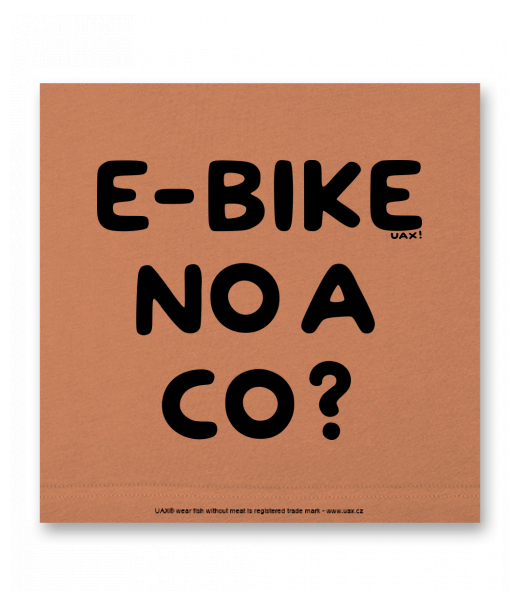 OBRAZ DO INTERIÉRU 110x110cm