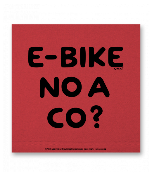 OBRAZ DO INTERIÉRU 110x110cm