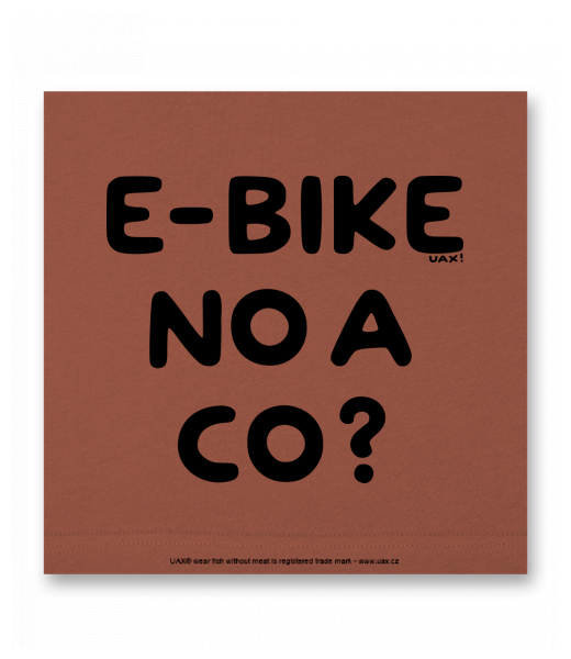 OBRAZ DO INTERIÉRU 110x110cm