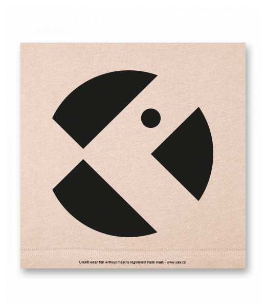 OBRAZ DO INTERIÉRU 110x110cm