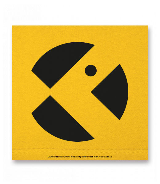 OBRAZ DO INTERIÉRU 110x110cm