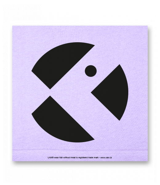 OBRAZ DO INTERIÉRU 110x110cm