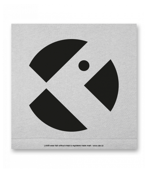 OBRAZ DO INTERIÉRU 110x110cm