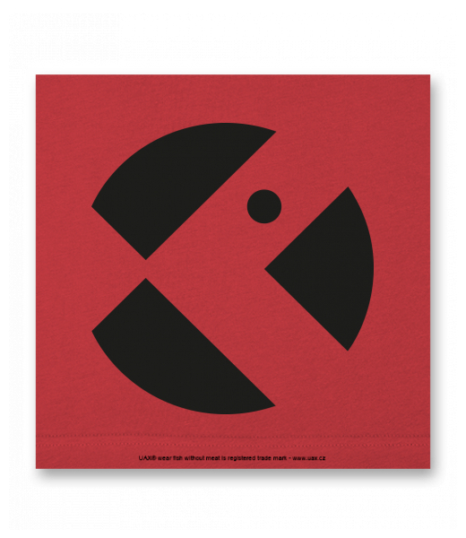 OBRAZ DO INTERIÉRU 110x110cm