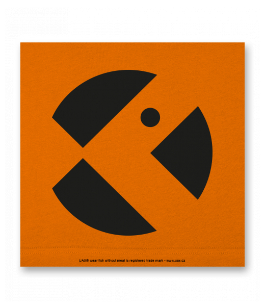 OBRAZ DO INTERIÉRU 110x110cm