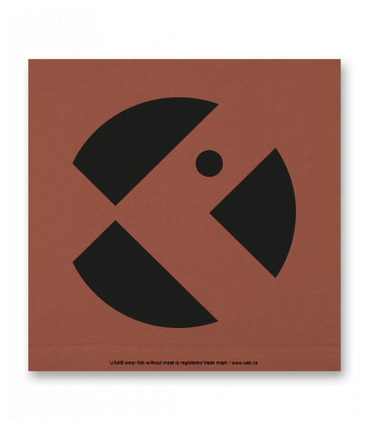 OBRAZ DO INTERIÉRU 110x110cm