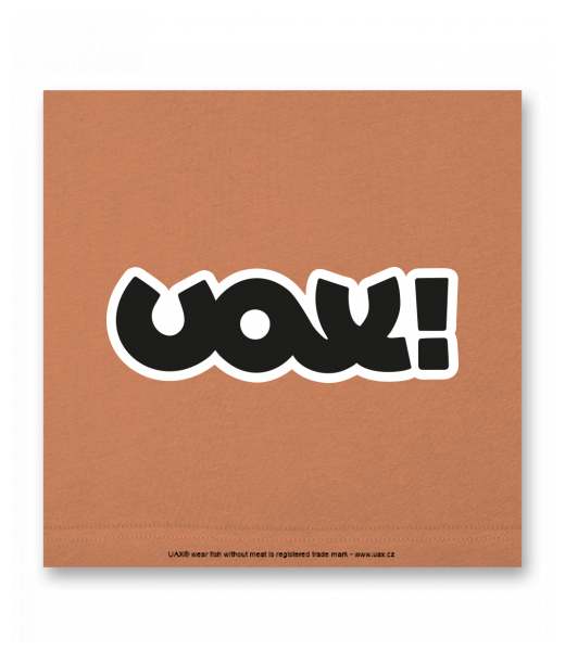 OBRAZ DO INTERIÉRU 110x110cm