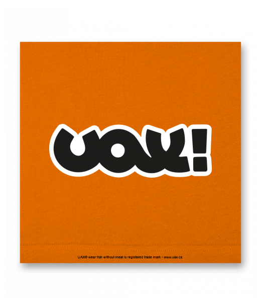 OBRAZ DO INTERIÉRU 110x110cm