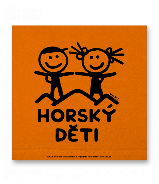 OBRAZ DO INTERIÉRU 110x110cm