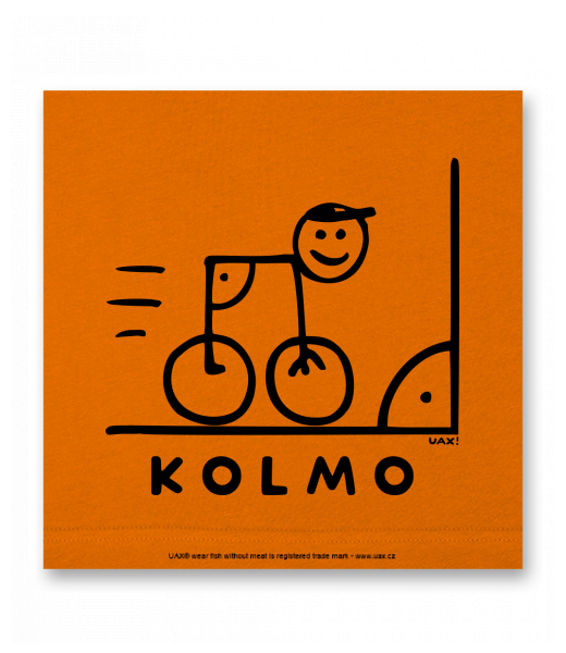 OBRAZ DO INTERIÉRU 110x110cm