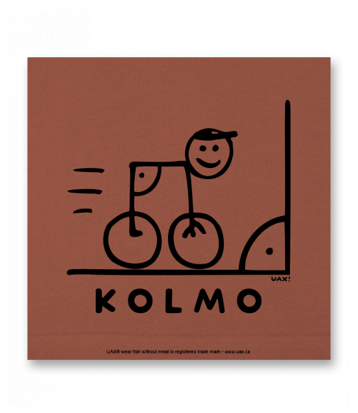 OBRAZ DO INTERIÉRU 110x110cm