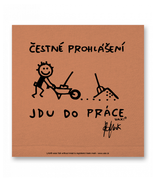 OBRAZ DO INTERIÉRU 110x110cm