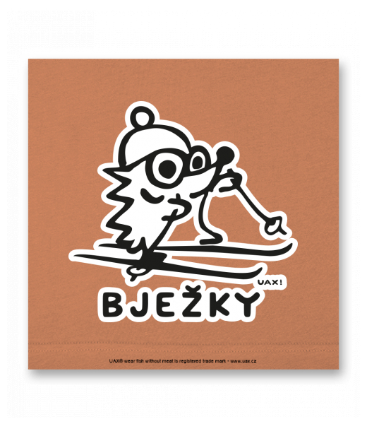 OBRAZ DO INTERIÉRU 110x110cm