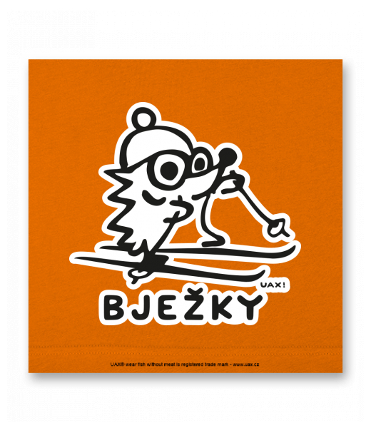 OBRAZ DO INTERIÉRU 110x110cm