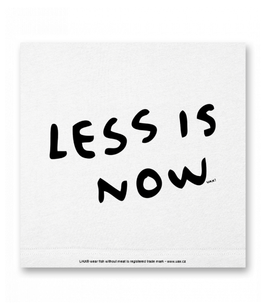 OBRAZ DO INTERIÉRU 110x110cm