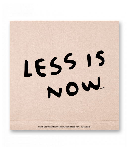 OBRAZ DO INTERIÉRU 110x110cm