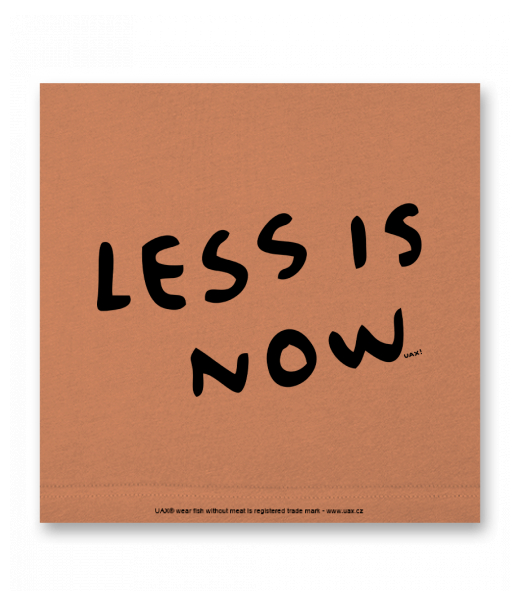 OBRAZ DO INTERIÉRU 110x110cm