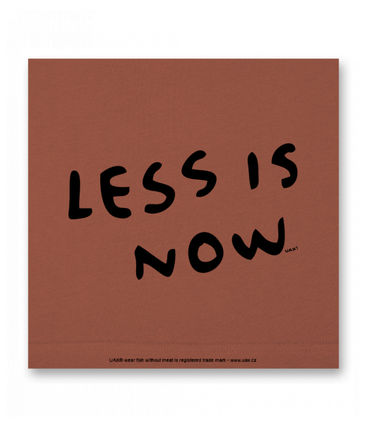 OBRAZ DO INTERIÉRU 110x110cm