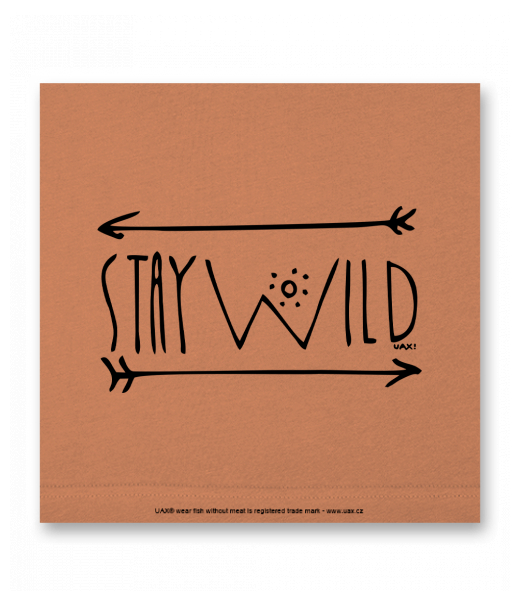 OBRAZ DO INTERIÉRU 110x110cm