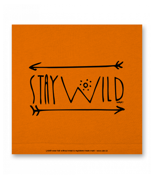 OBRAZ DO INTERIÉRU 110x110cm