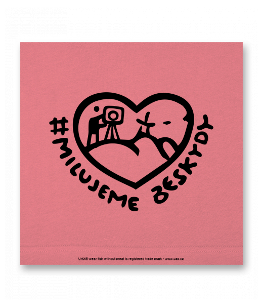 OBRAZ DO INTERIÉRU 110x110cm