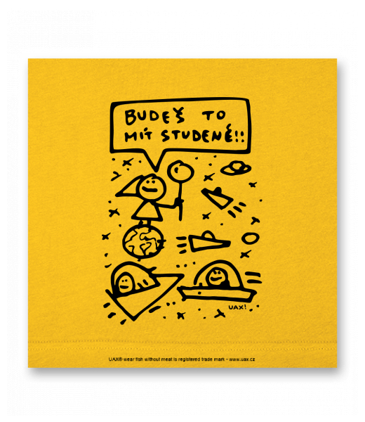 OBRAZ DO INTERIÉRU 110x110cm