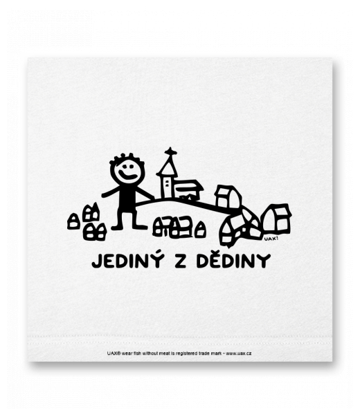 OBRAZ DO INTERIÉRU 110x110cm