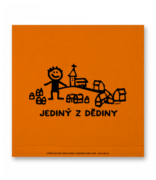 OBRAZ DO INTERIÉRU 110x110cm