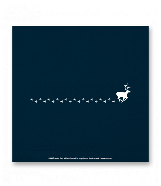 OBRAZ DO INTERIÉRU 110x110cm