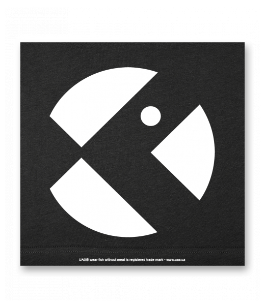 OBRAZ DO INTERIÉRU 110x110cm