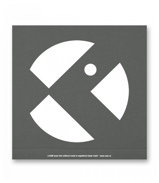 OBRAZ DO INTERIÉRU 110x110cm