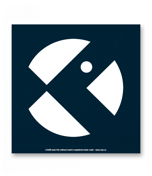 OBRAZ DO INTERIÉRU 110x110cm