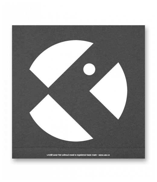 OBRAZ DO INTERIÉRU 110x110cm