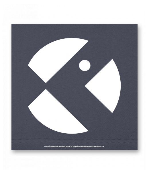 OBRAZ DO INTERIÉRU 110x110cm