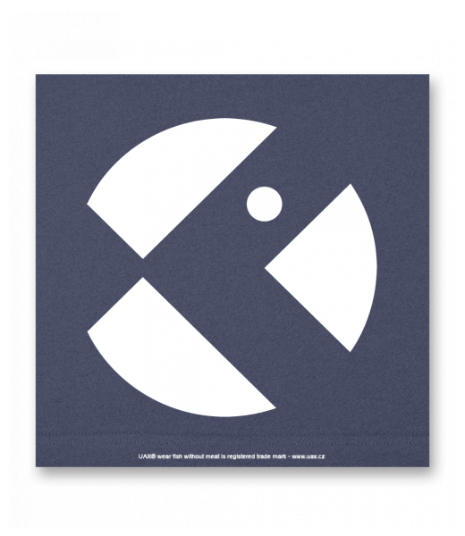 OBRAZ DO INTERIÉRU 110x110cm