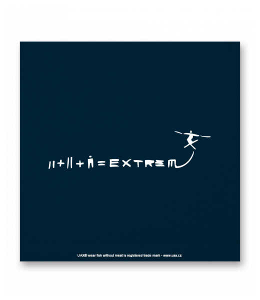 OBRAZ DO INTERIÉRU 110x110cm