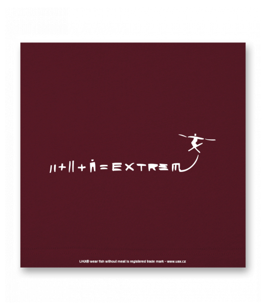 OBRAZ DO INTERIÉRU 110x110cm