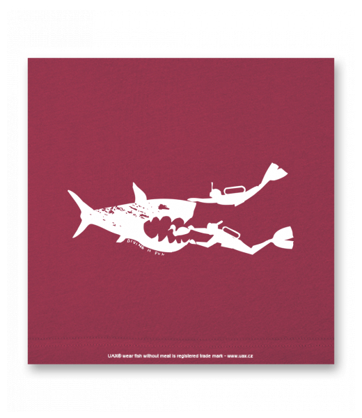 OBRAZ DO INTERIÉRU 110x110cm